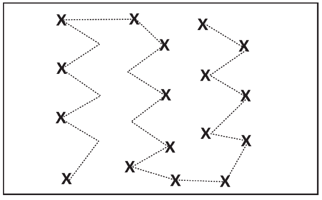Systematic pattern for sampling a routine check across the lawnpng